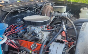 Chevrolet-Silverado-1500-1981-7