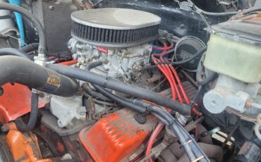 Chevrolet-Silverado-1500-1981-8