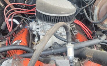 Chevrolet-Silverado-1500-1981-9