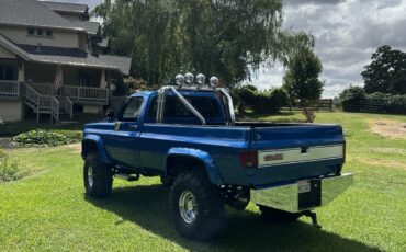 Chevrolet-Silverado-2500-1975-Crew-Cab-Pickup-2