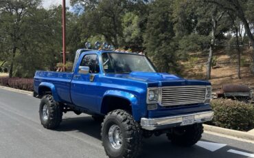 Chevrolet-Silverado-2500-1975-Crew-Cab-Pickup-3