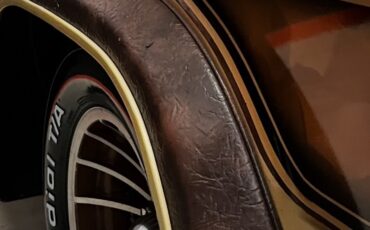 Chevrolet-Van-1979-7