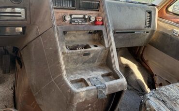 Chevrolet-Van-1980-12