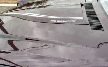 Chevrolet-Z28-1980-T-TOPS-10