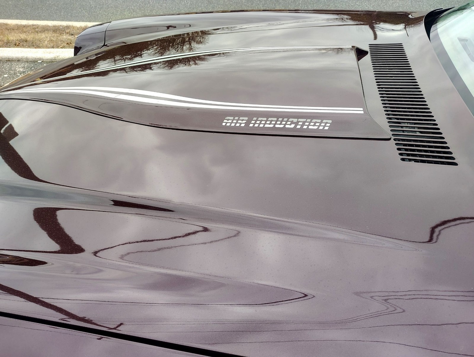 Chevrolet-Z28-1980-T-TOPS-10