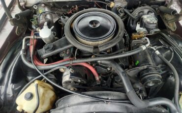 Chevrolet-Z28-1980-T-TOPS-15