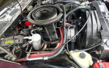 Chevrolet-Z28-1980-T-TOPS-16