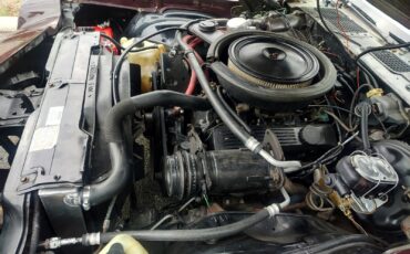 Chevrolet-Z28-1980-T-TOPS-17