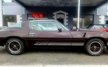 Chevrolet-Z28-1980-T-TOPS-4