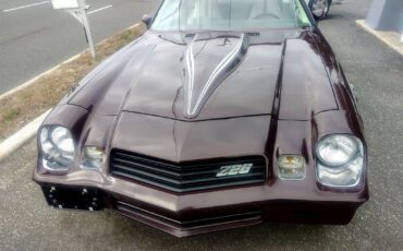 Chevrolet-Z28-1980-T-TOPS-9