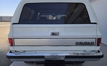 Chevrolet-blazer-1989-white-15