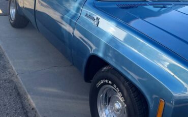 Chevrolet-c10-longbed-1979-blue-12
