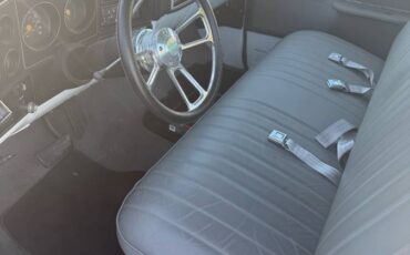 Chevrolet-c10-longbed-1979-blue-4