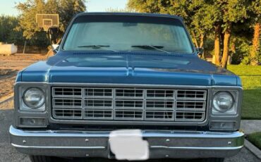 Chevrolet-c10-longbed-1979-blue-7