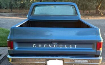 Chevrolet-c10-longbed-1979-blue-8