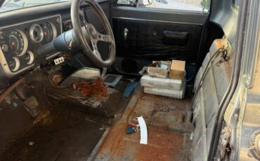 Chevrolet-c10-pickup-1967-4