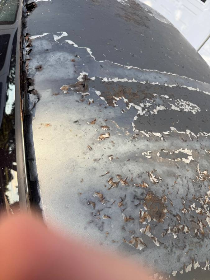 Chevrolet-c10-pickup-1967-7