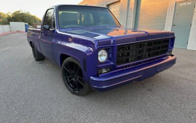 Chevrolet c10 pickup 1979