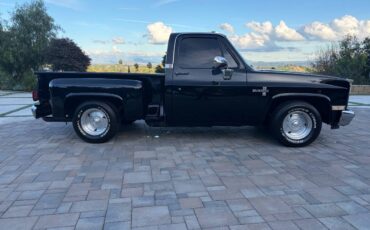 Chevrolet-c10-pickup-1987-black-5