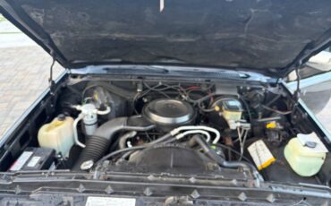 Chevrolet-c10-pickup-1987-black-7