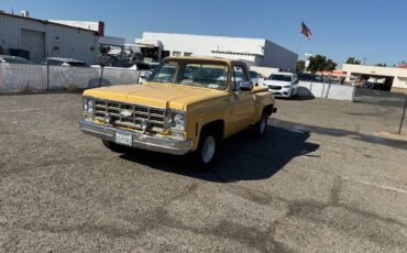 Chevrolet-c10-scottsdale-1977-yellow-14