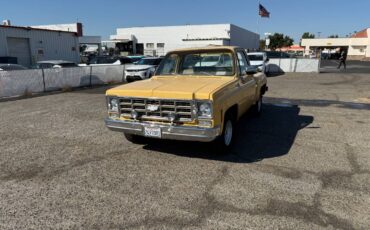 Chevrolet-c10-scottsdale-1977-yellow-15