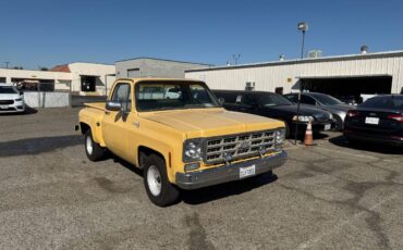 Chevrolet-c10-scottsdale-1977-yellow-16
