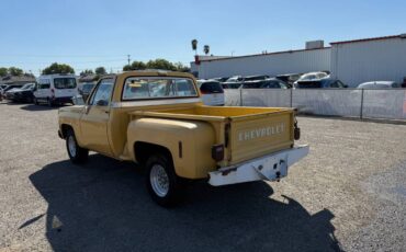 Chevrolet-c10-scottsdale-1977-yellow-17