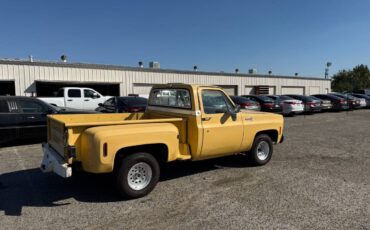 Chevrolet-c10-scottsdale-1977-yellow-7