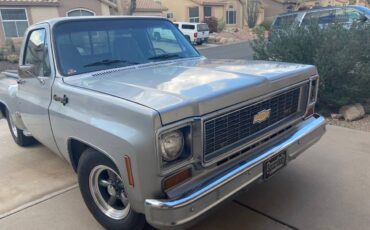 Chevrolet-c10-stepside-1973-silver-3