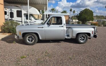 Chevrolet-c10-stepside-1973-silver-5