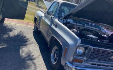 Chevrolet-c10-stepside-1973-silver-7