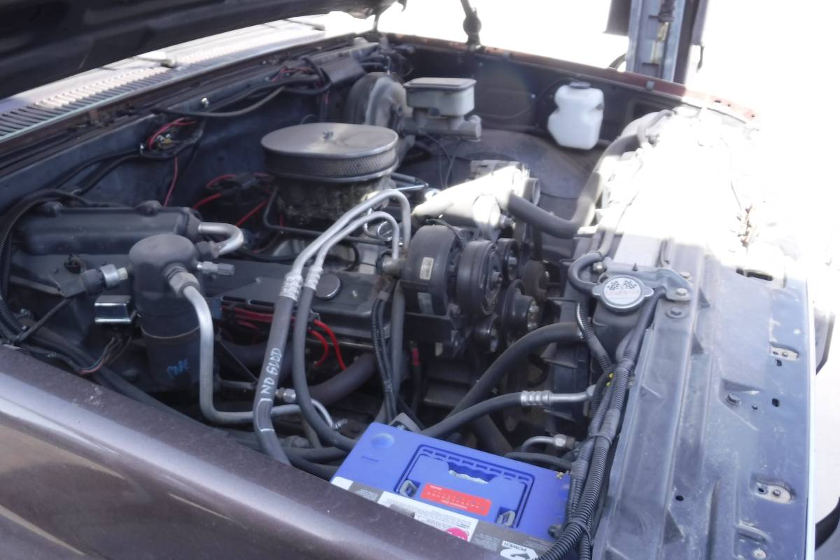 Chevrolet-c10-swb-1984-brown-1