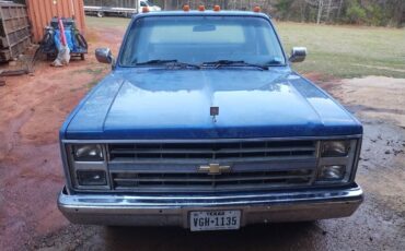 Chevrolet-c30-1985-blue-2