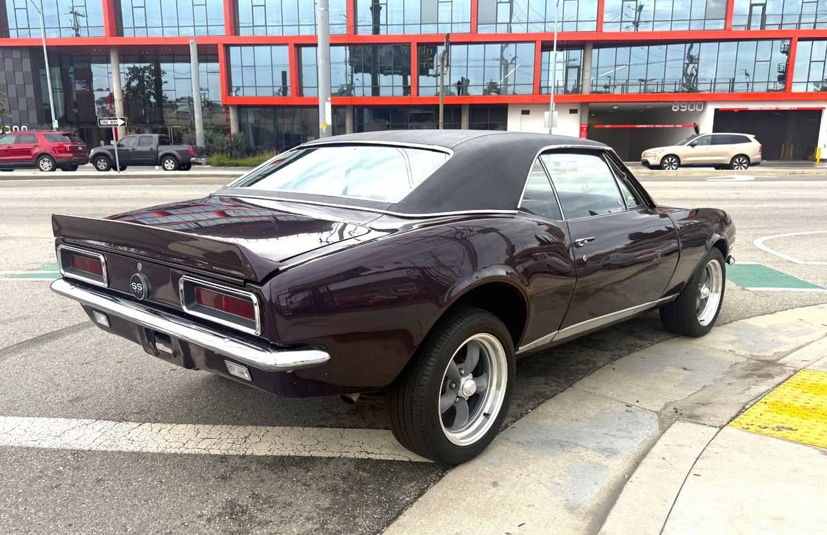 Chevrolet-camaro-1967-purple-2