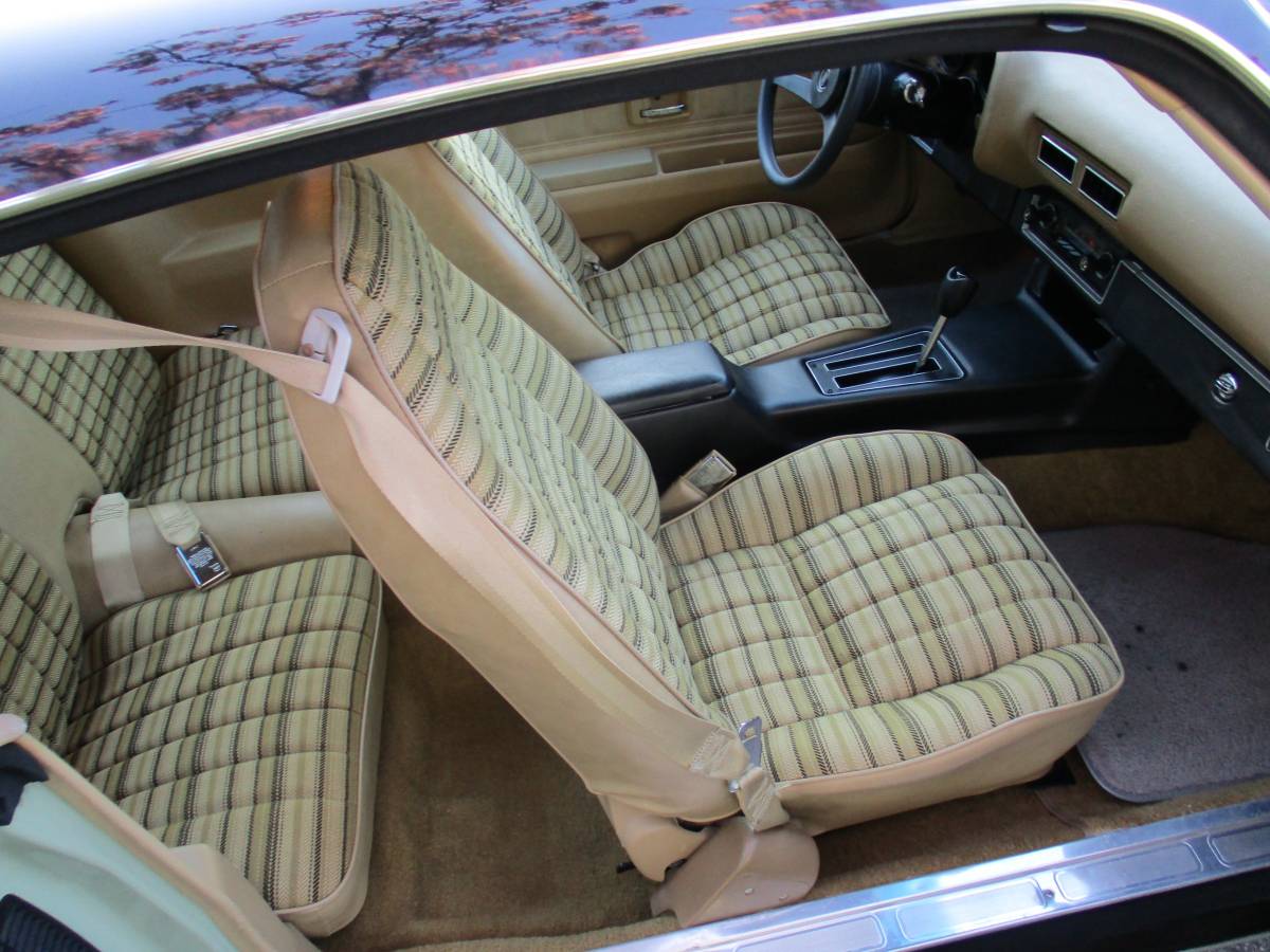 Chevrolet-camaro-1975-3