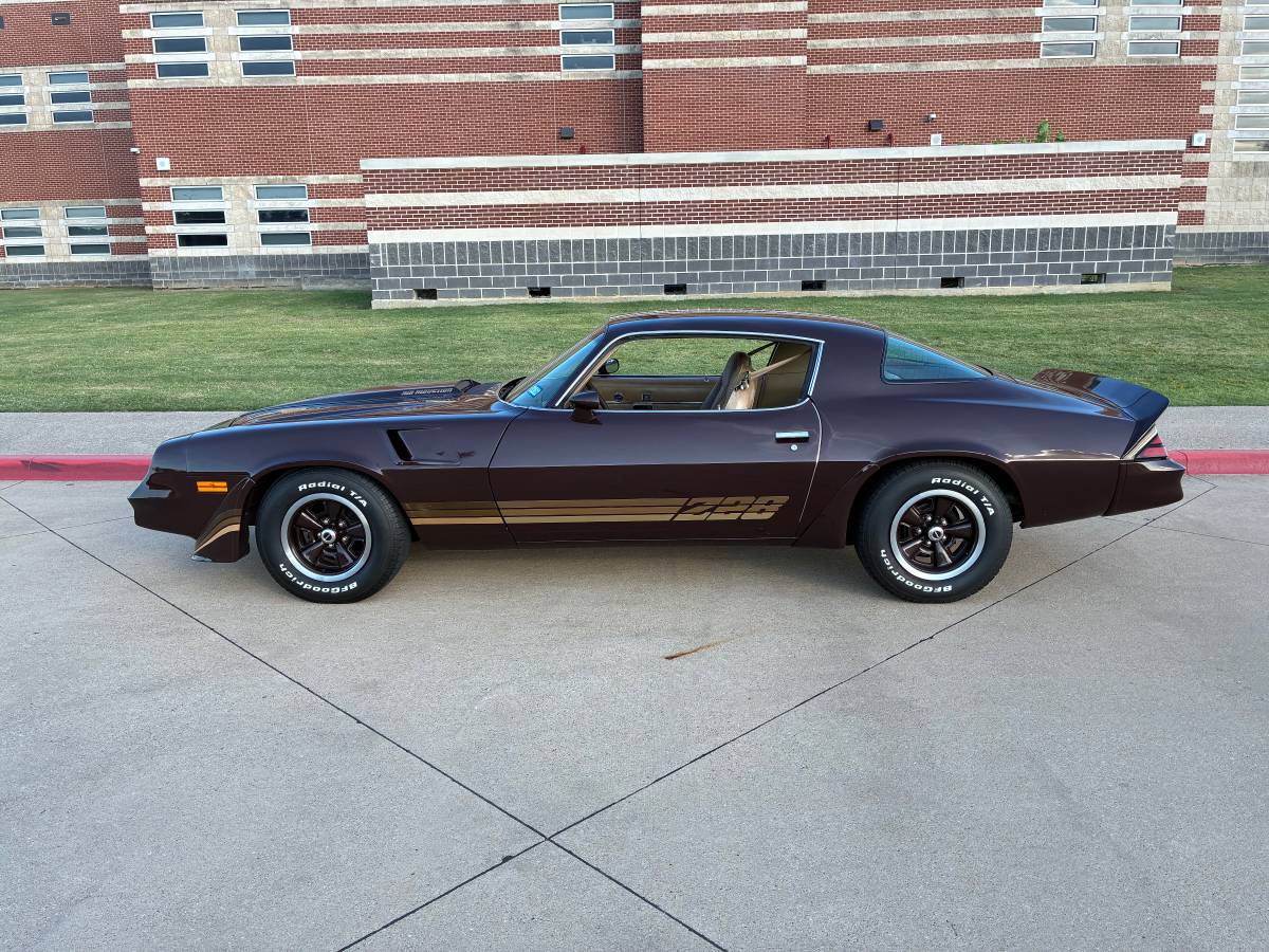 Chevrolet-camaro-sport-1981-brown-1