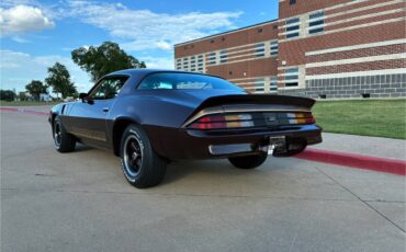 Chevrolet-camaro-sport-1981-brown-4