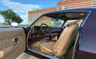 Chevrolet-camaro-sport-1981-brown-5