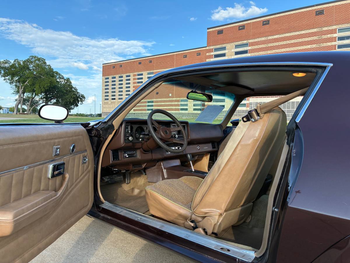Chevrolet-camaro-sport-1981-brown-5
