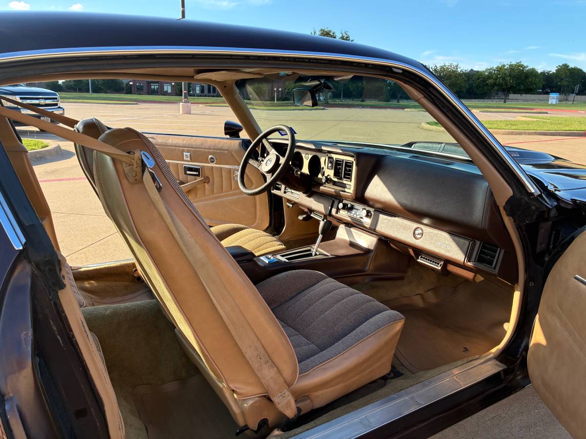 Chevrolet-camaro-sport-1981-brown-6