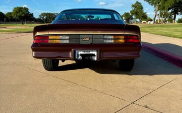Chevrolet-camaro-sport-1981-brown-7