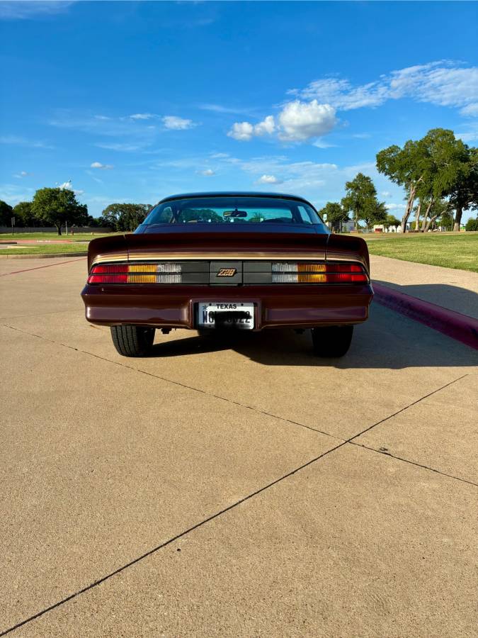 Chevrolet-camaro-sport-1981-brown-7