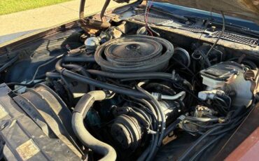 Chevrolet-camaro-sport-1981-brown-8