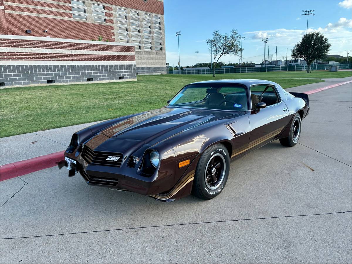 Chevrolet-camaro-sport-1981-brown