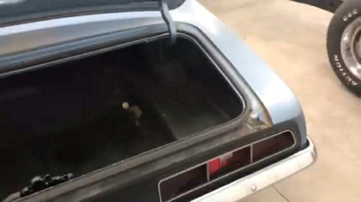 Chevrolet-camaro-ss-396-1968-blue-2