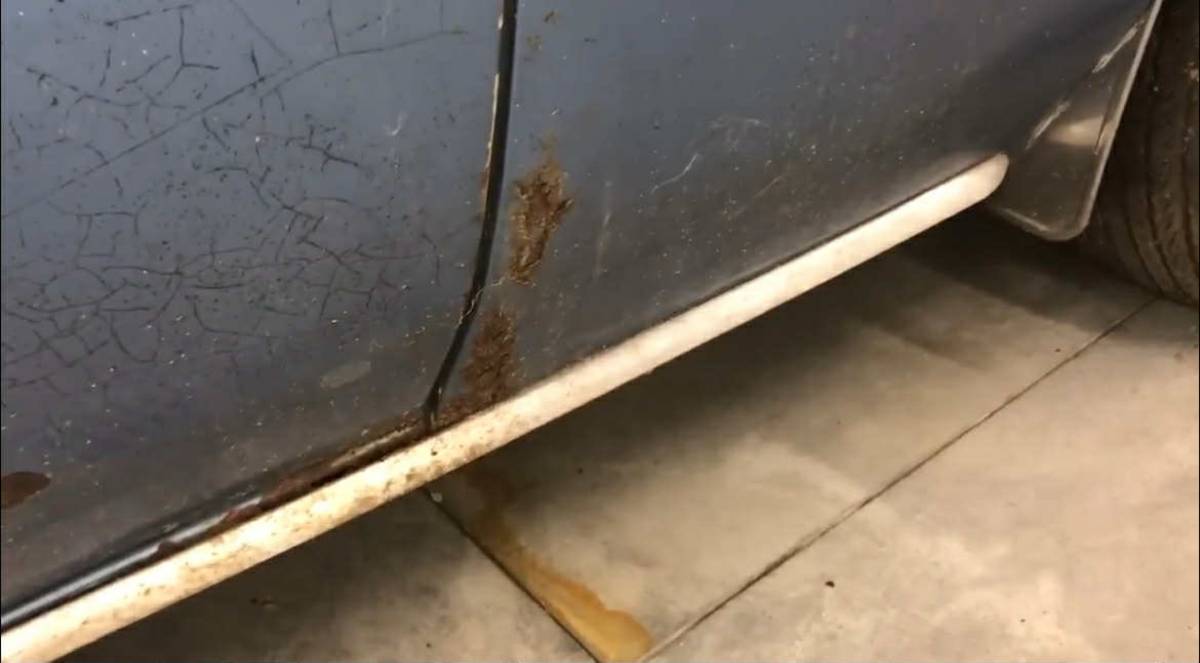 Chevrolet-camaro-ss-396-1968-blue-20