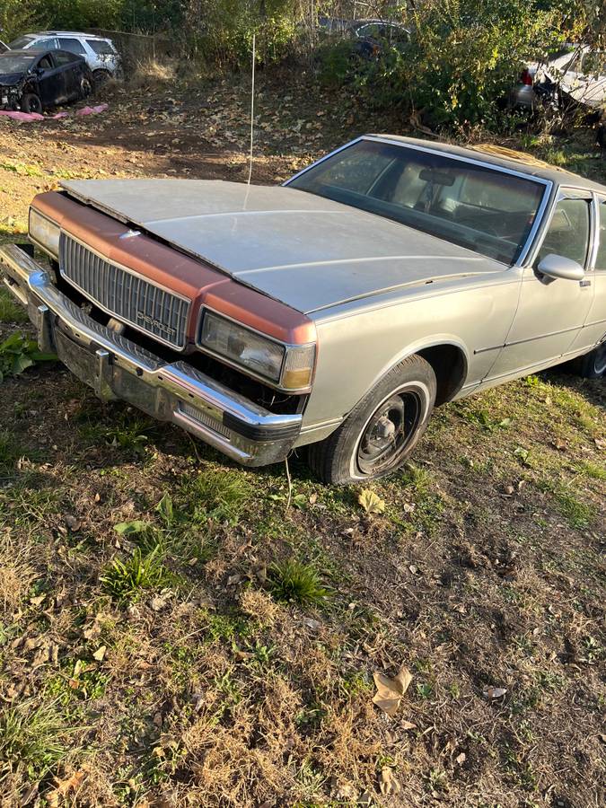 Chevrolet-caprice-1986-grey-2