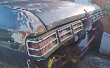 Chevrolet-caprice-classic-1975-green-15