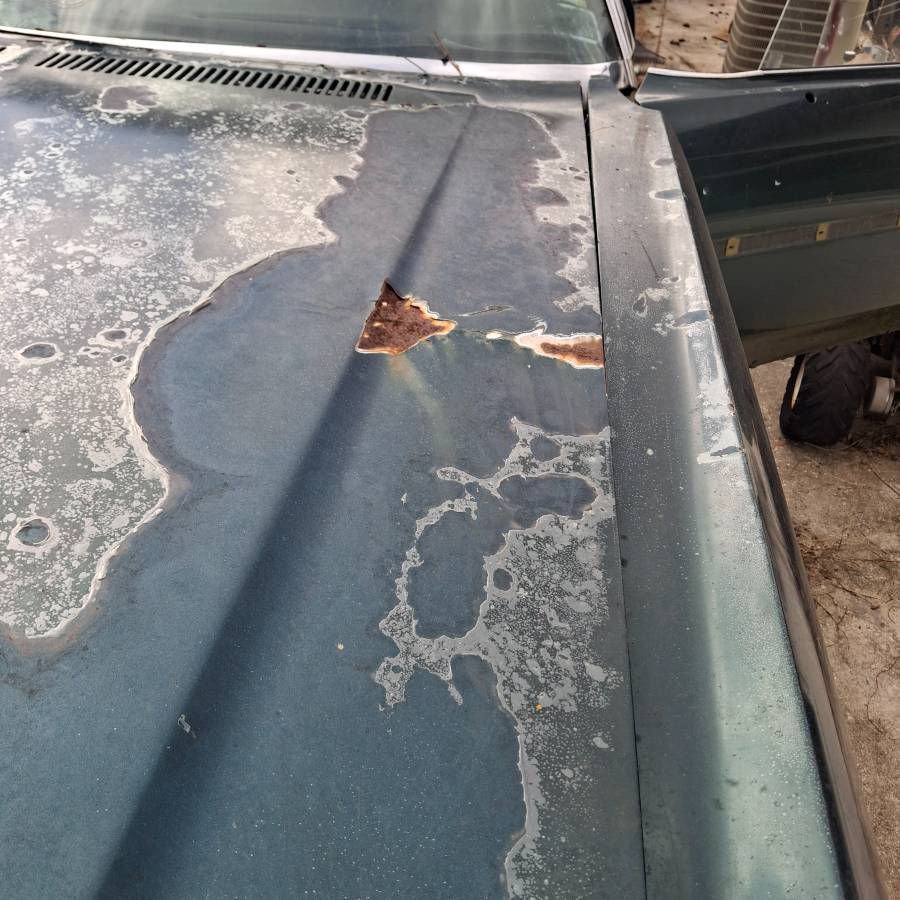 Chevrolet-caprice-classic-1975-green-4